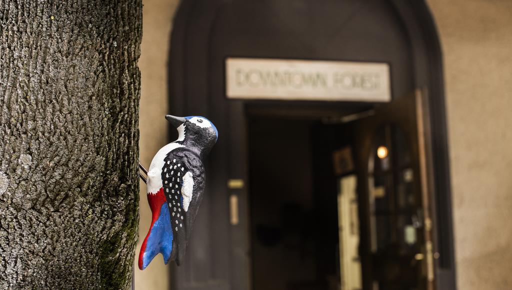 Downtown Forest Hostel & Camping فيلنيوس المظهر الخارجي الصورة